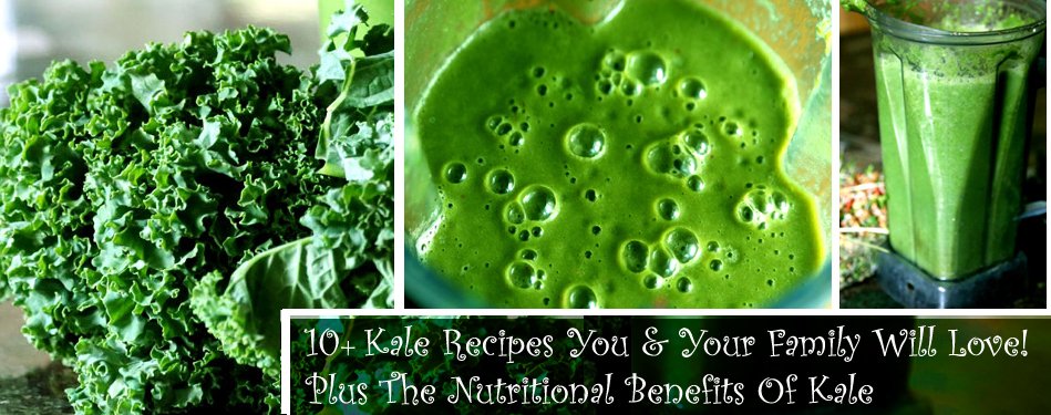 10+ Kale Recipes You and Your Family Will Love! Plus The Nutritional Benefits Of Kale