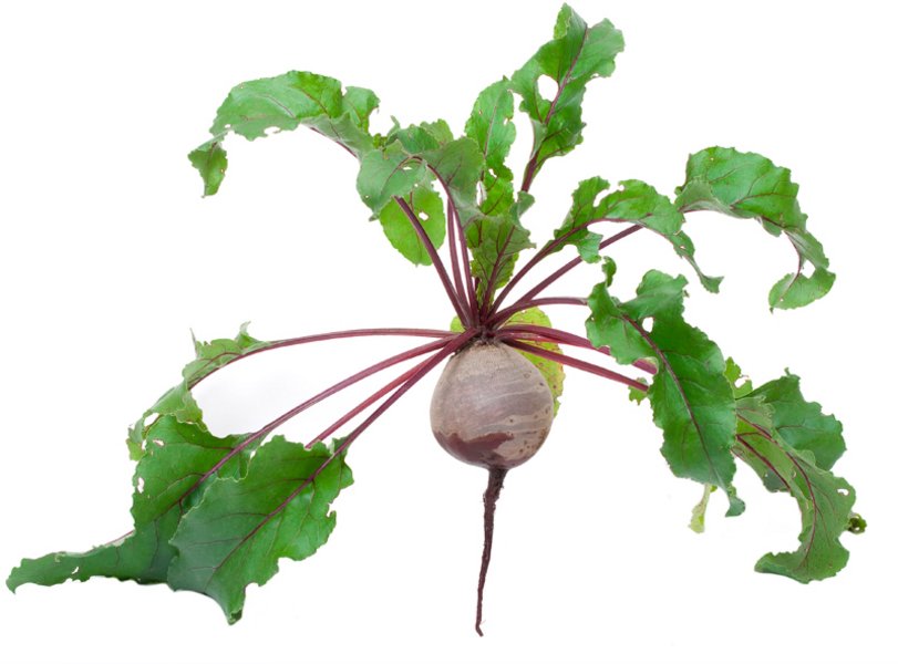 How About a Radish Top Green Smoothie? 3 Unusual Ingredients For Green