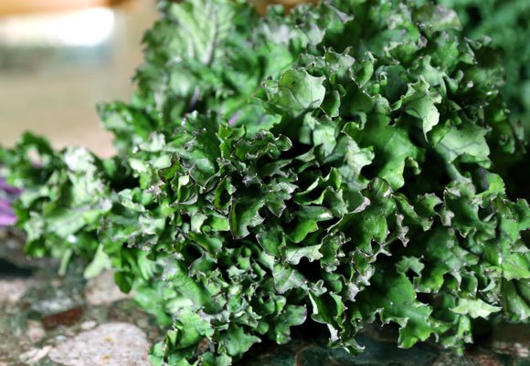 Kale Chips: No-Cholesterol, No-Guilt Recipe 