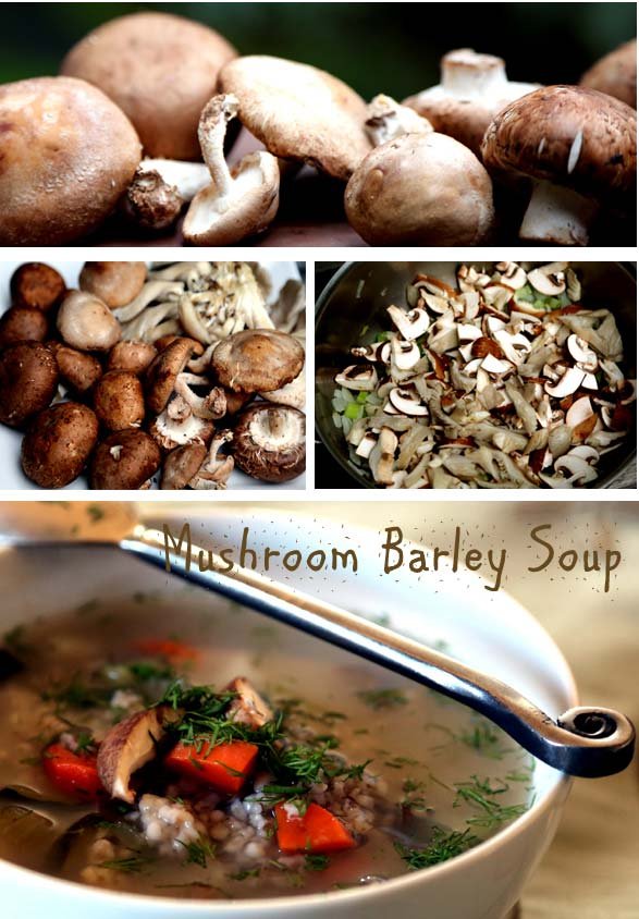 Mushroom-Barley Soup