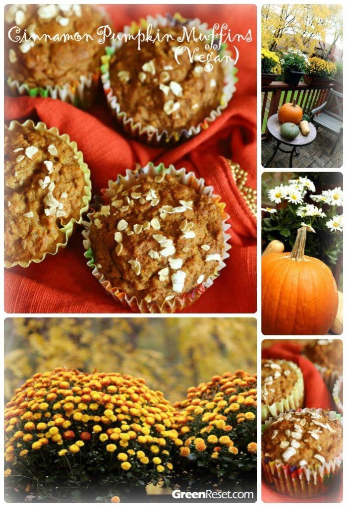 Pumpkin Muffins Recipe