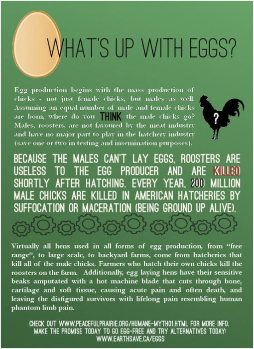 15 EggFree Recipe Ideas for Celebrating the Easter (& Beyond) Green Smoothie Recipes That Rock!