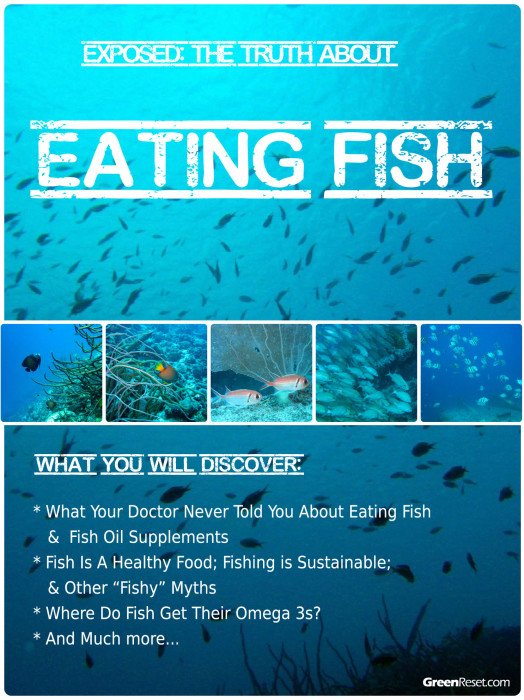 Fish are Friends Not Food Ebook: Omega 3 vs Omega 6