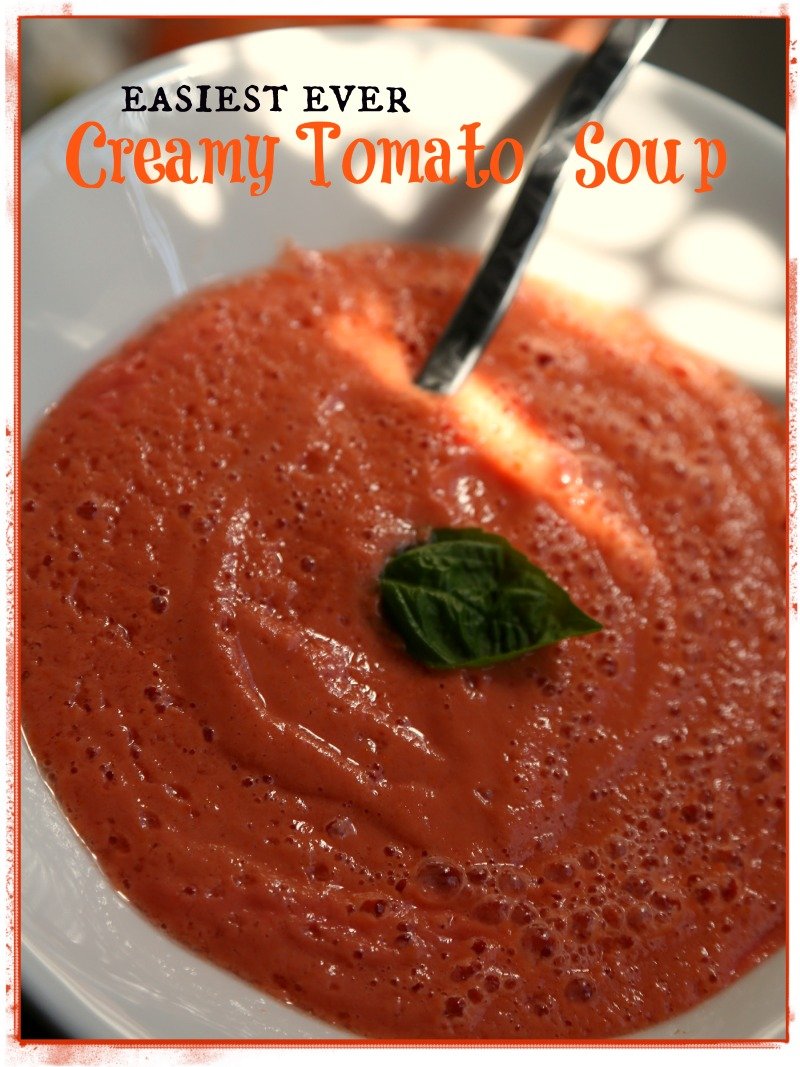 Easiest Ever Tomato Soup Recipe