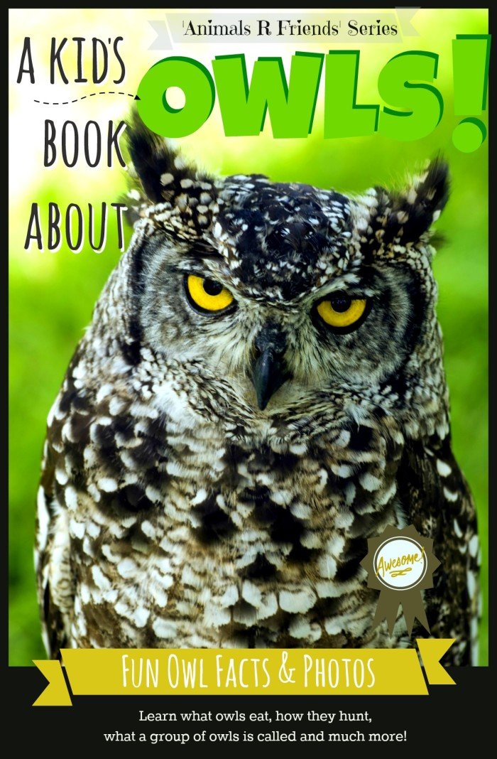 Book-Cover-Owl-014h